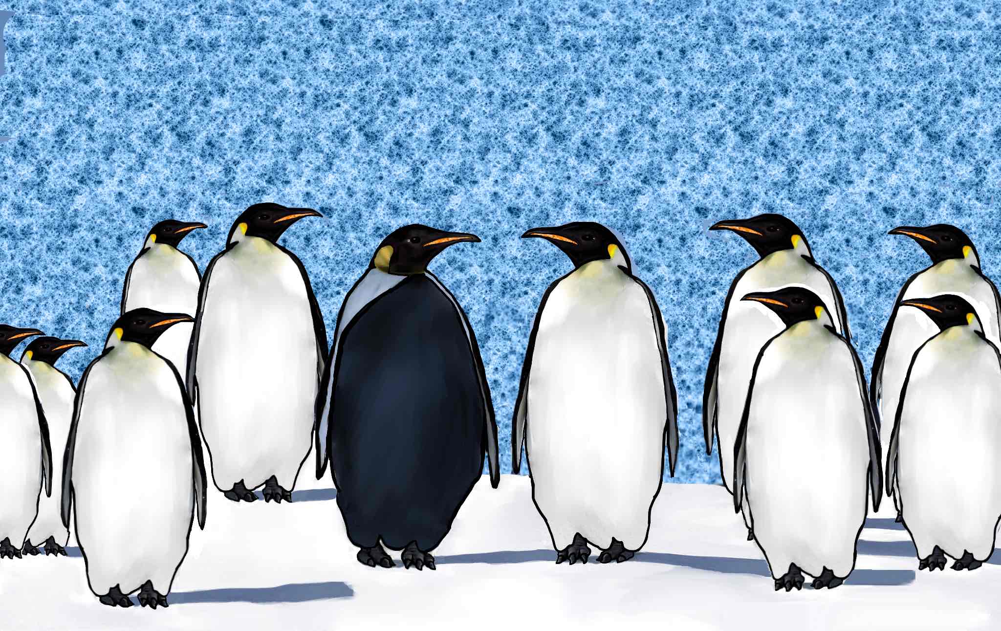 penguins-final-jpeg-copy